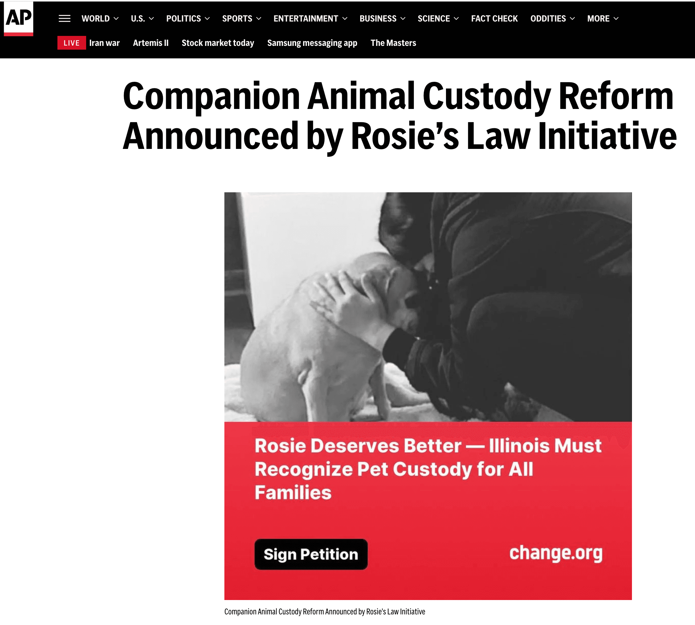 Person hugging a dog in black and white for a pet custody reform petition.